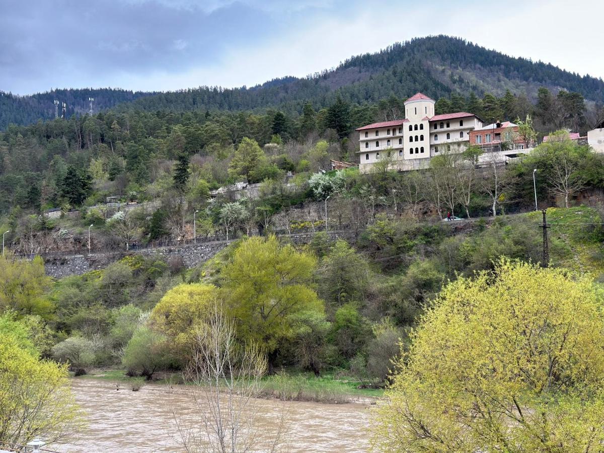Vitali Borjomi