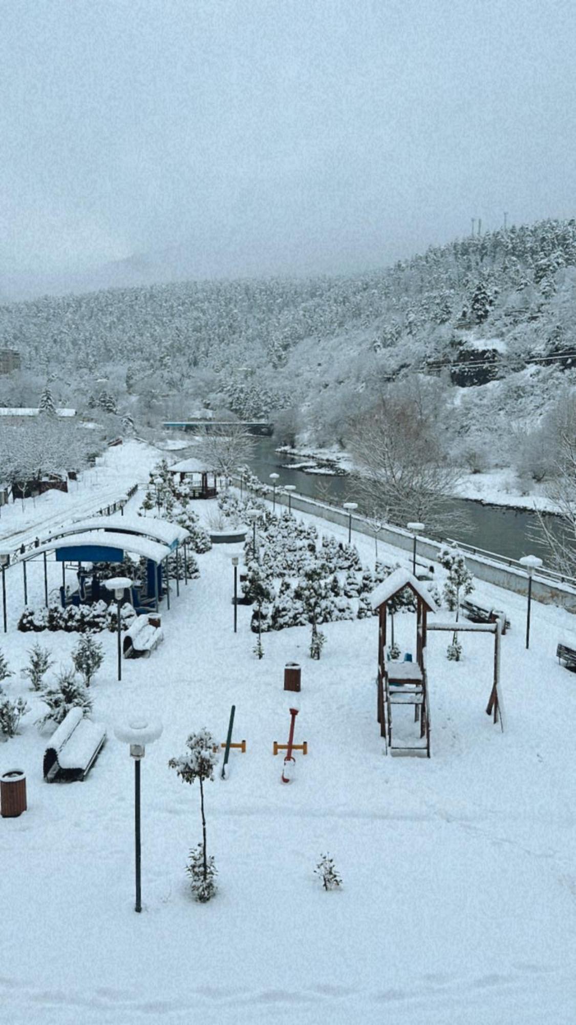 Vitali Daire Borjomi